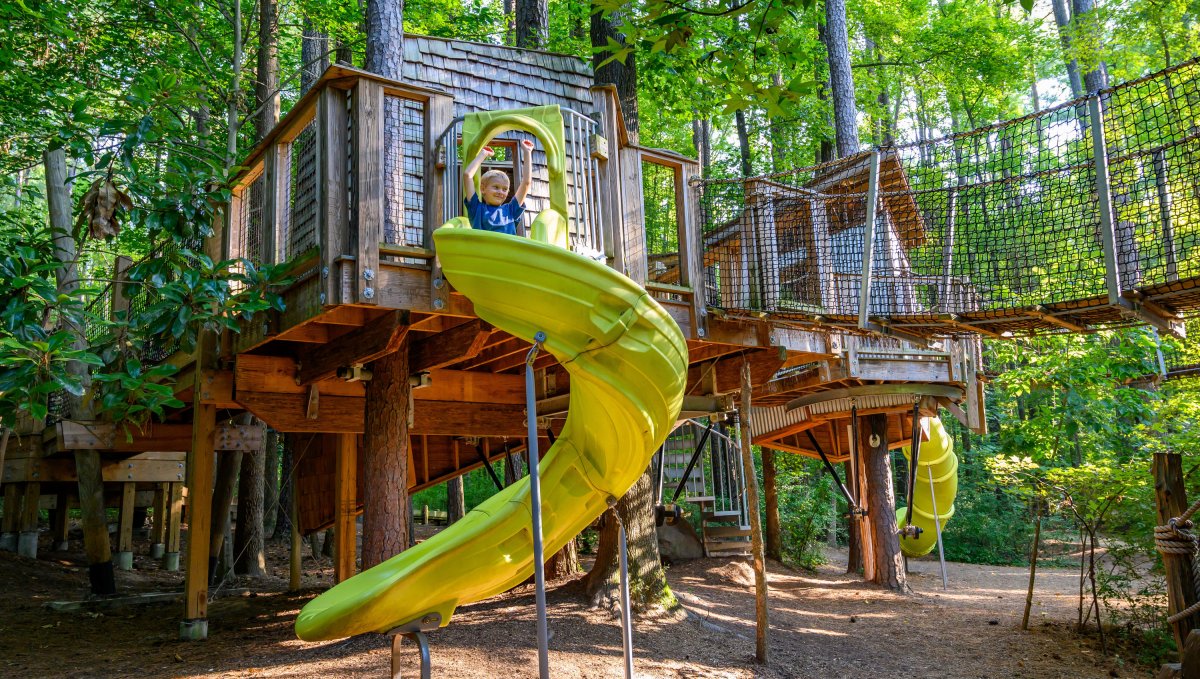 Things To Do With Your Kids In NC Before They Grow Up VisitNC Com   Museum Of Life And Science Treehouse Village Slide Crop(1,0.850,0.000,0.117,r4).ff13be42 